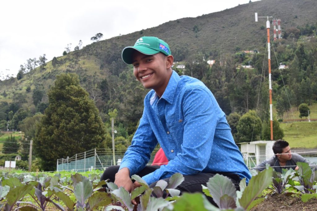 Asesoría, Consultoría e Interventoría Agropecuaria.